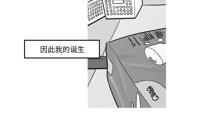 第29章：我的诞生30