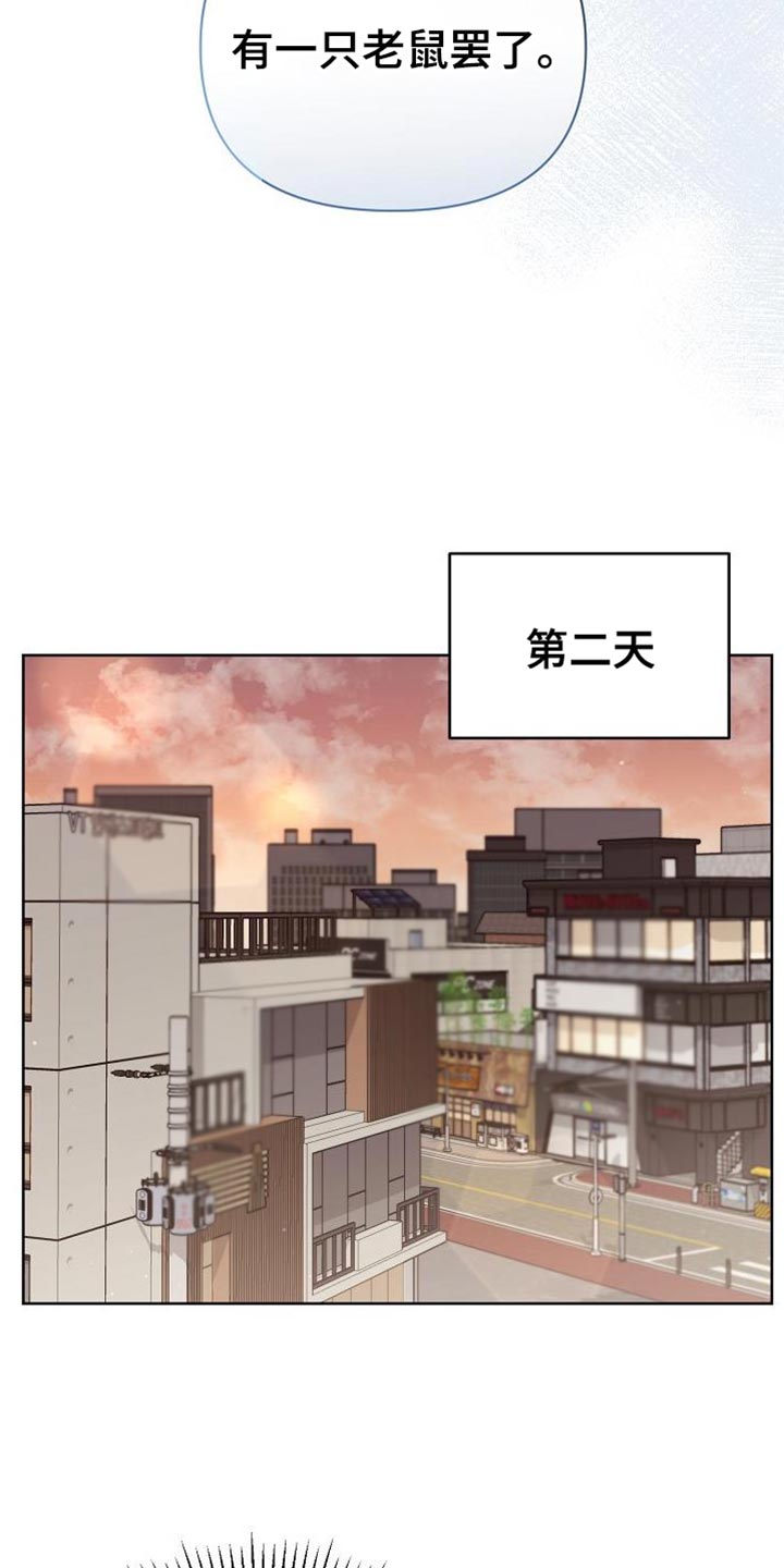 第46章：老鼠23