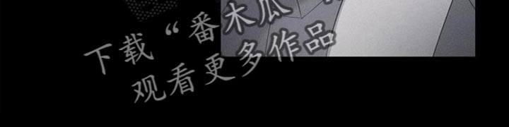 第47章：打个赌23
