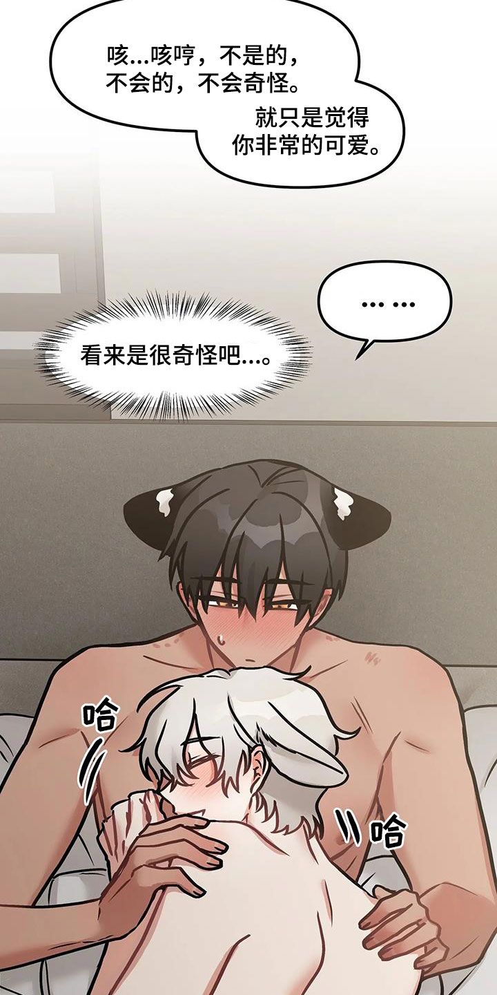 第18章：学到的东西14
