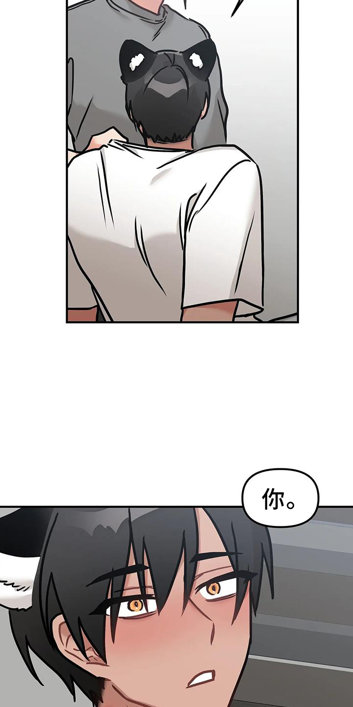 第14章：质问14