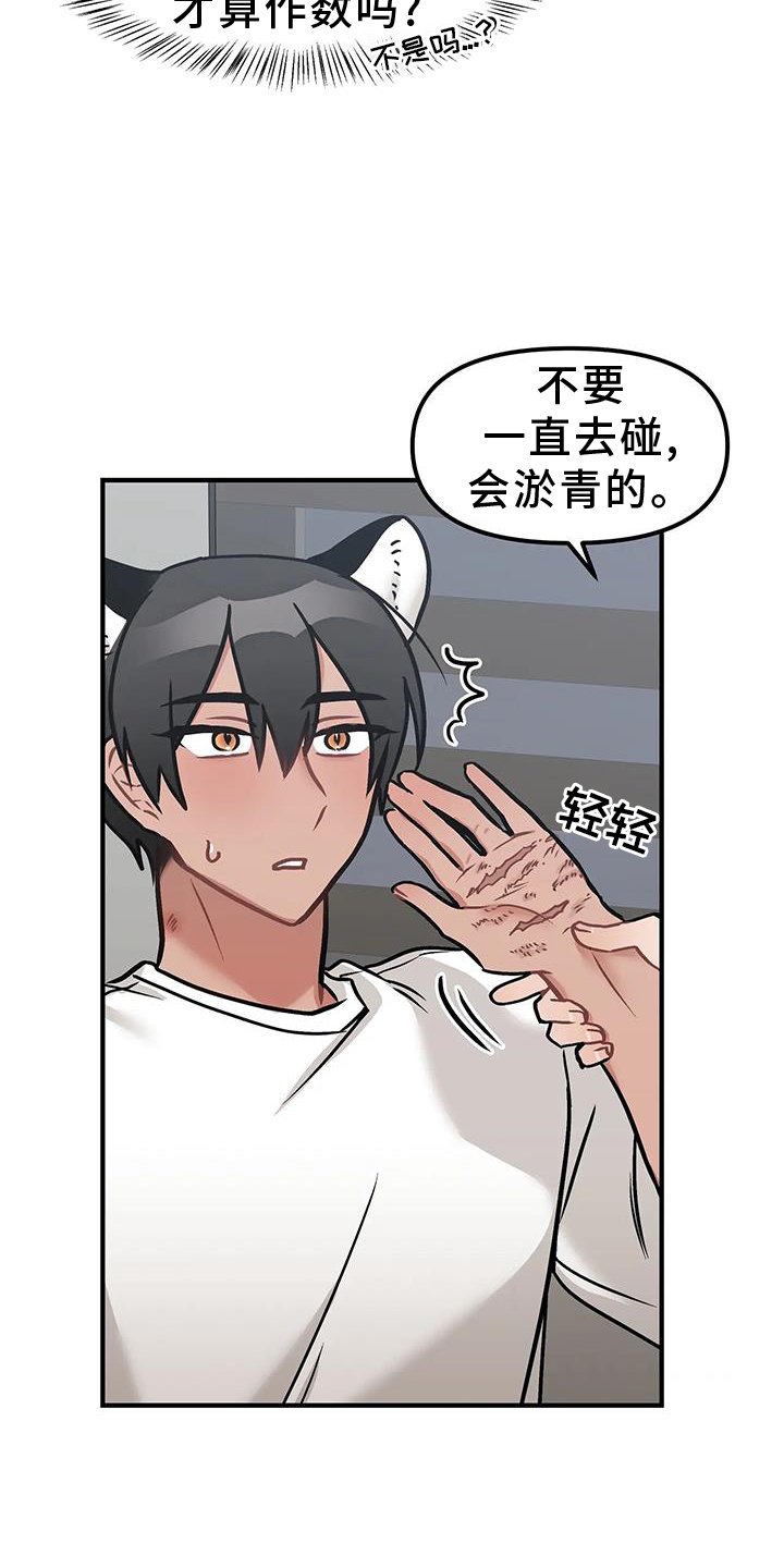 第14章：质问20