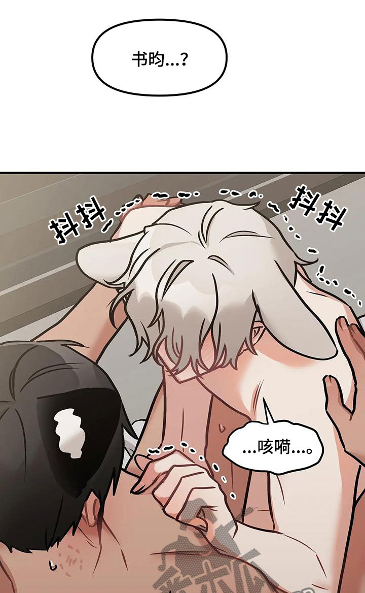 第18章：学到的东西12
