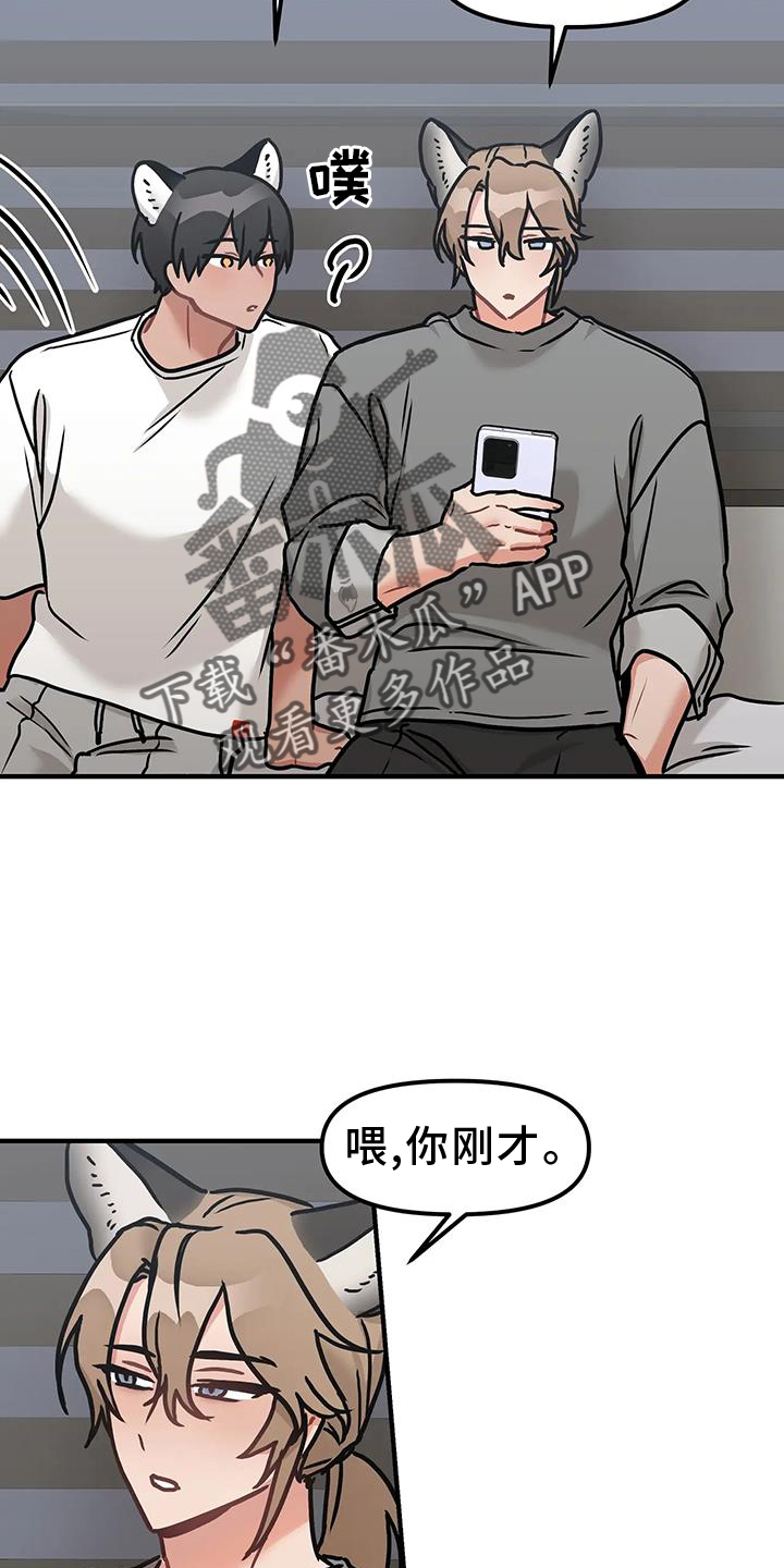第14章：质问11