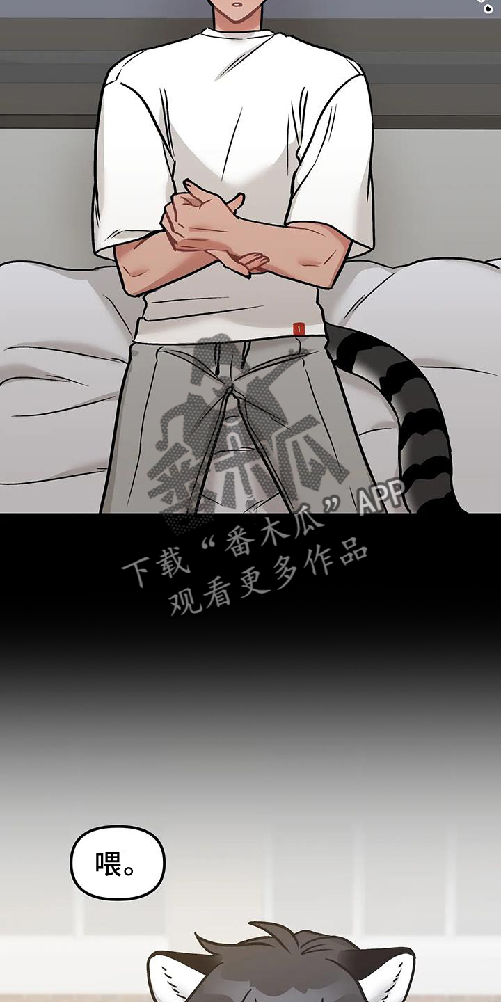 第15章：不应该等待3