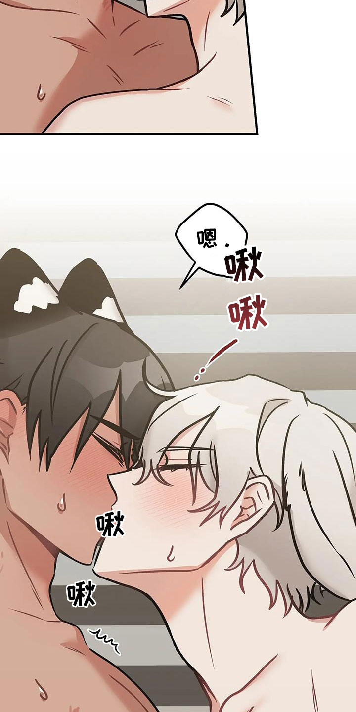 第18章：学到的东西3