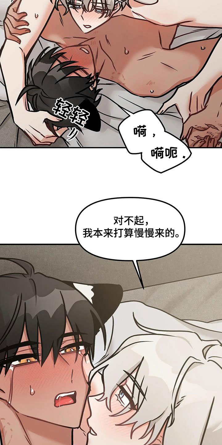 第19章：一个问题13
