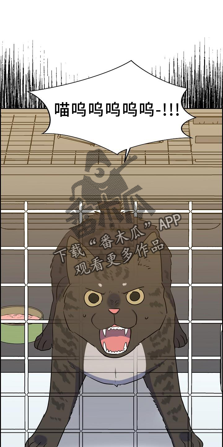第41章：捕获21