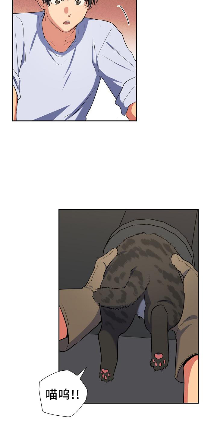 第41章：捕获14