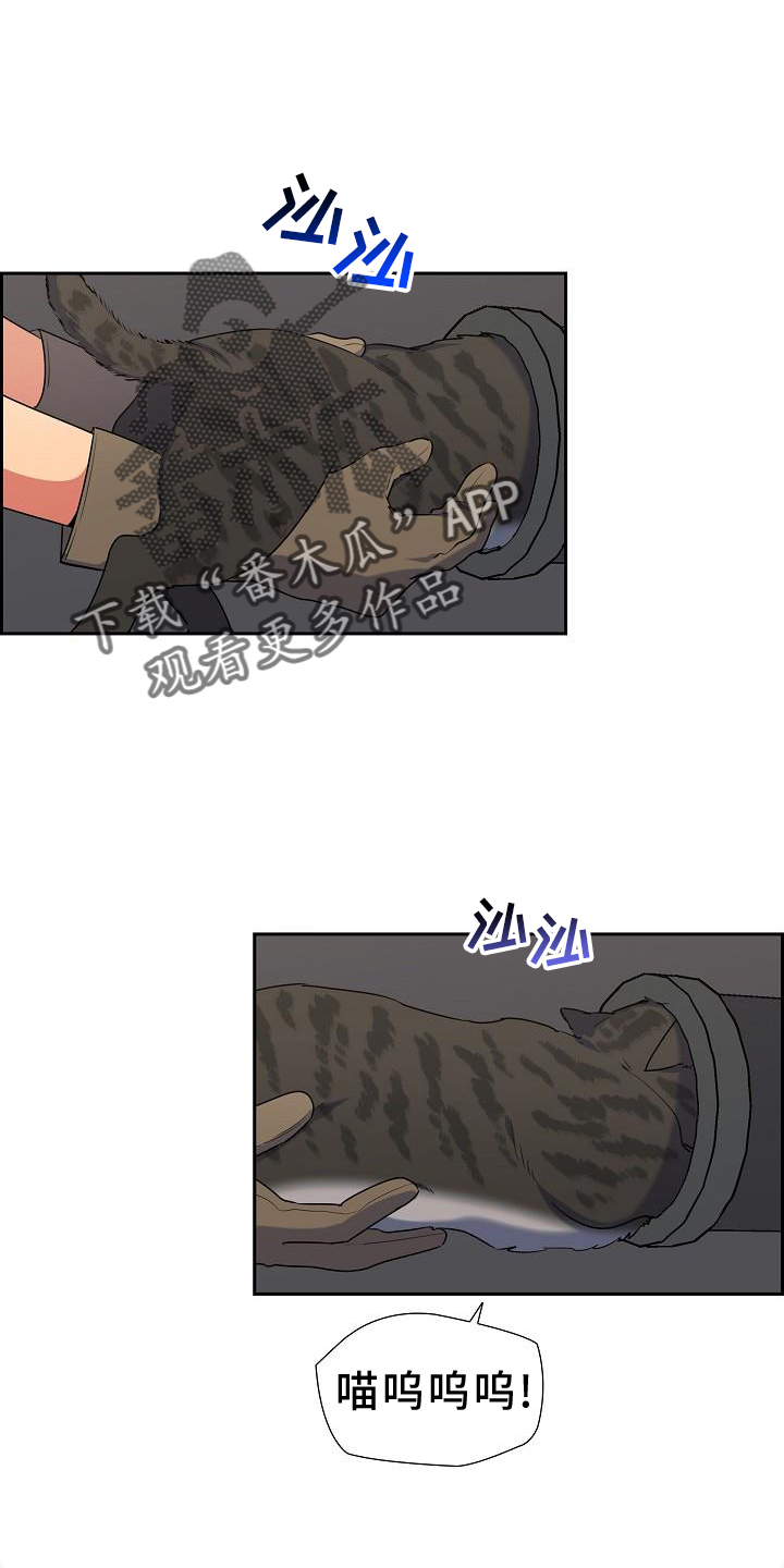 第41章：捕获15