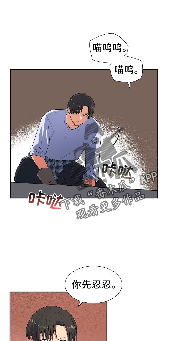 第41章：捕获13