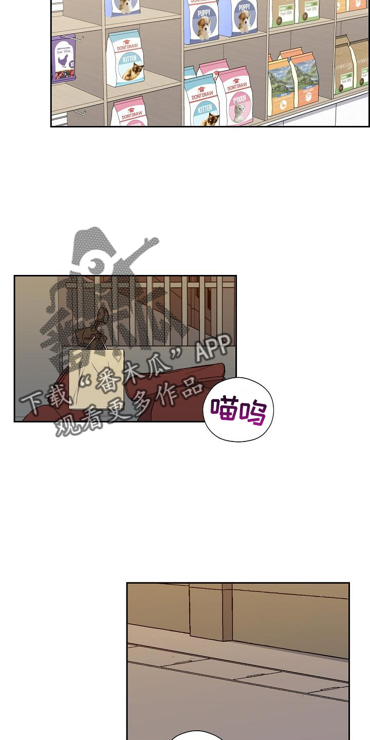 第41章：捕获7