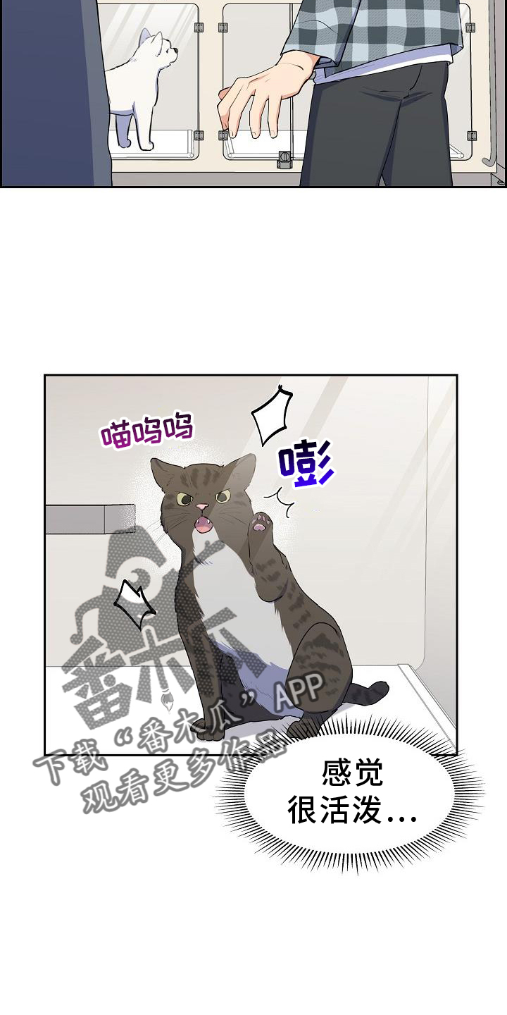 第44章：歇息5