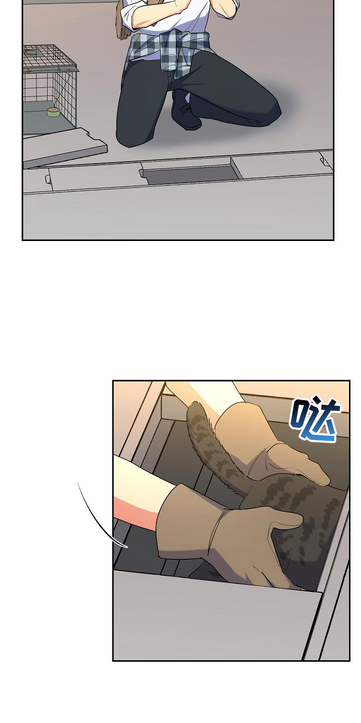 第41章：捕获12