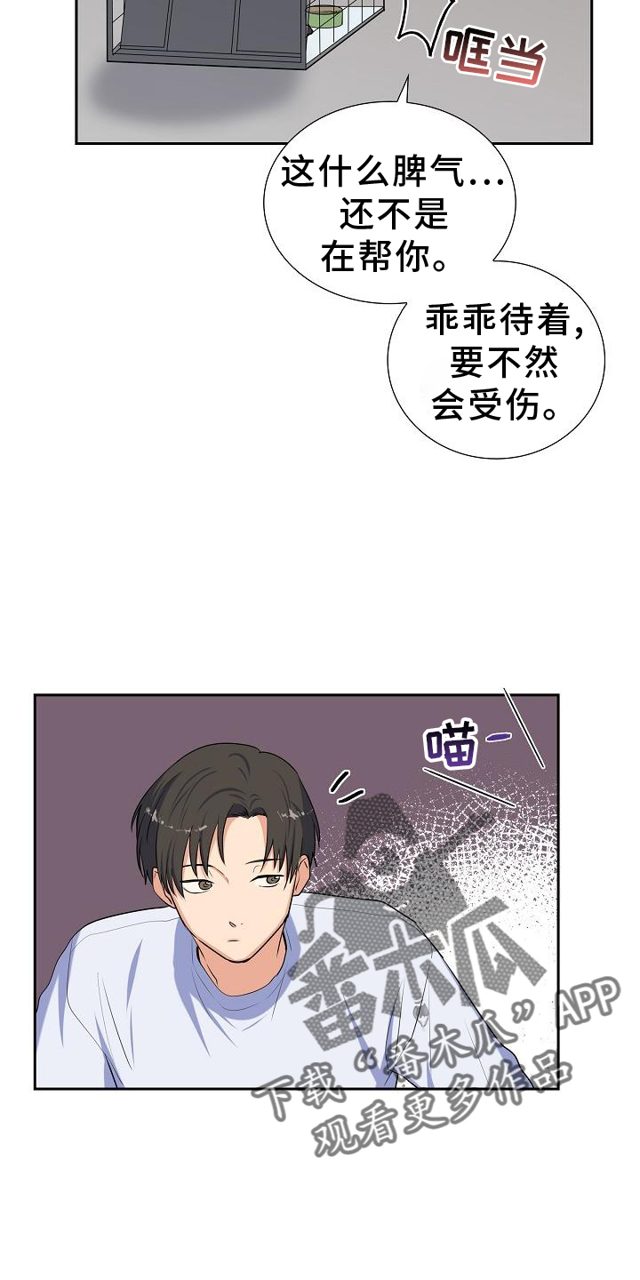 第41章：捕获23
