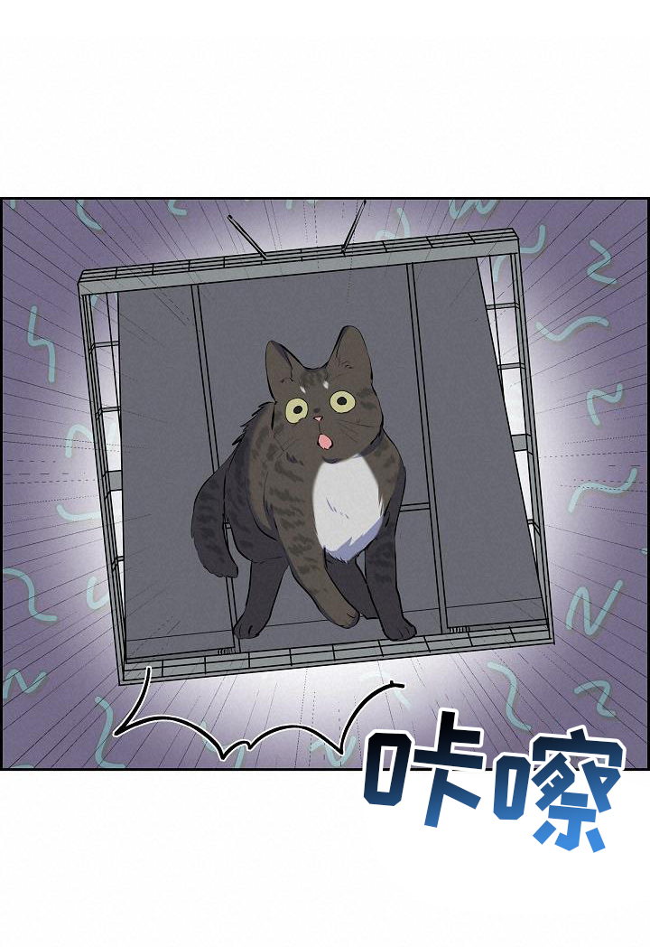 第41章：捕获20