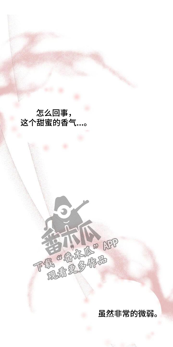 第34章：甜蜜的香气12