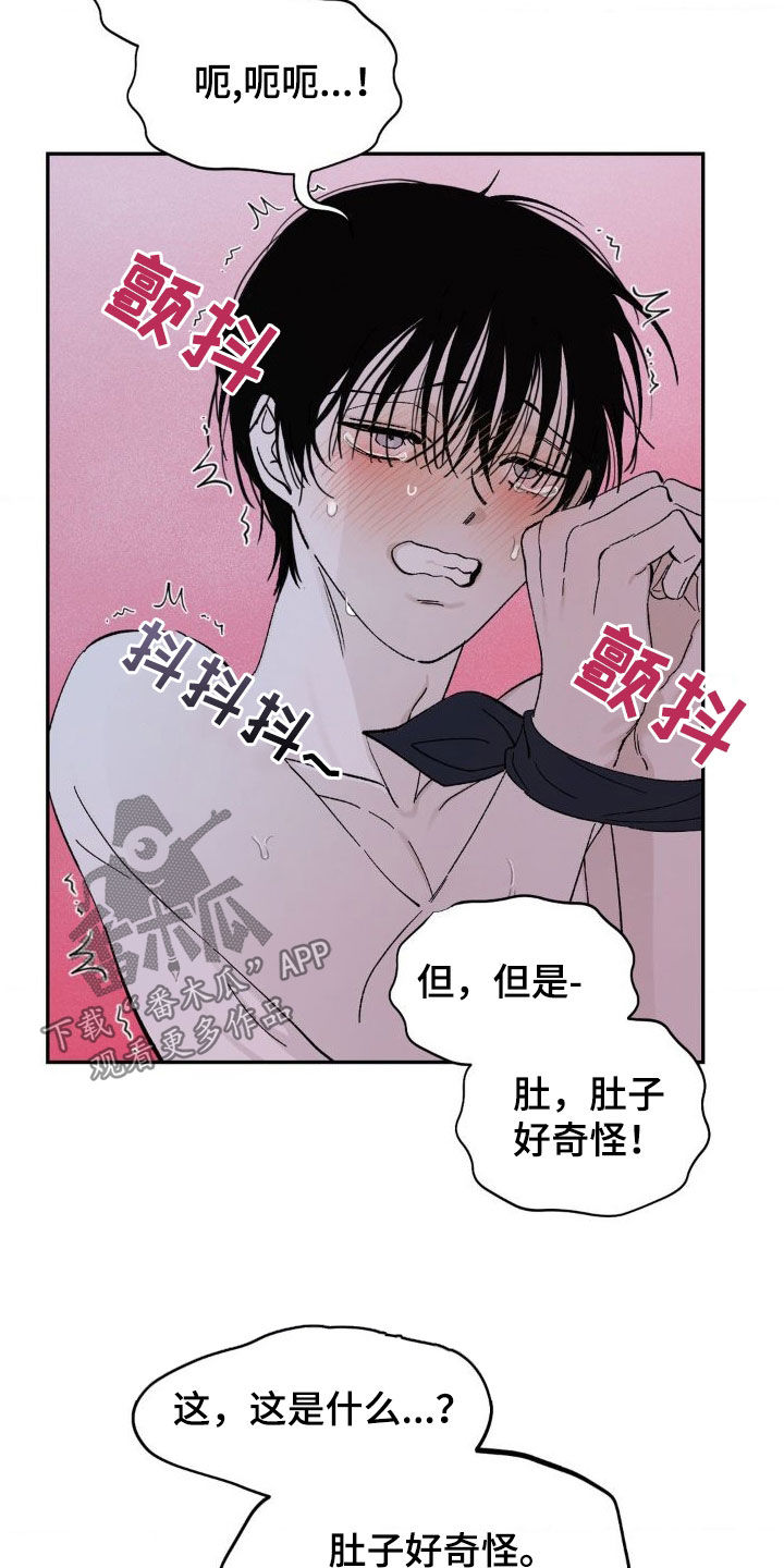 第21章：撞见17