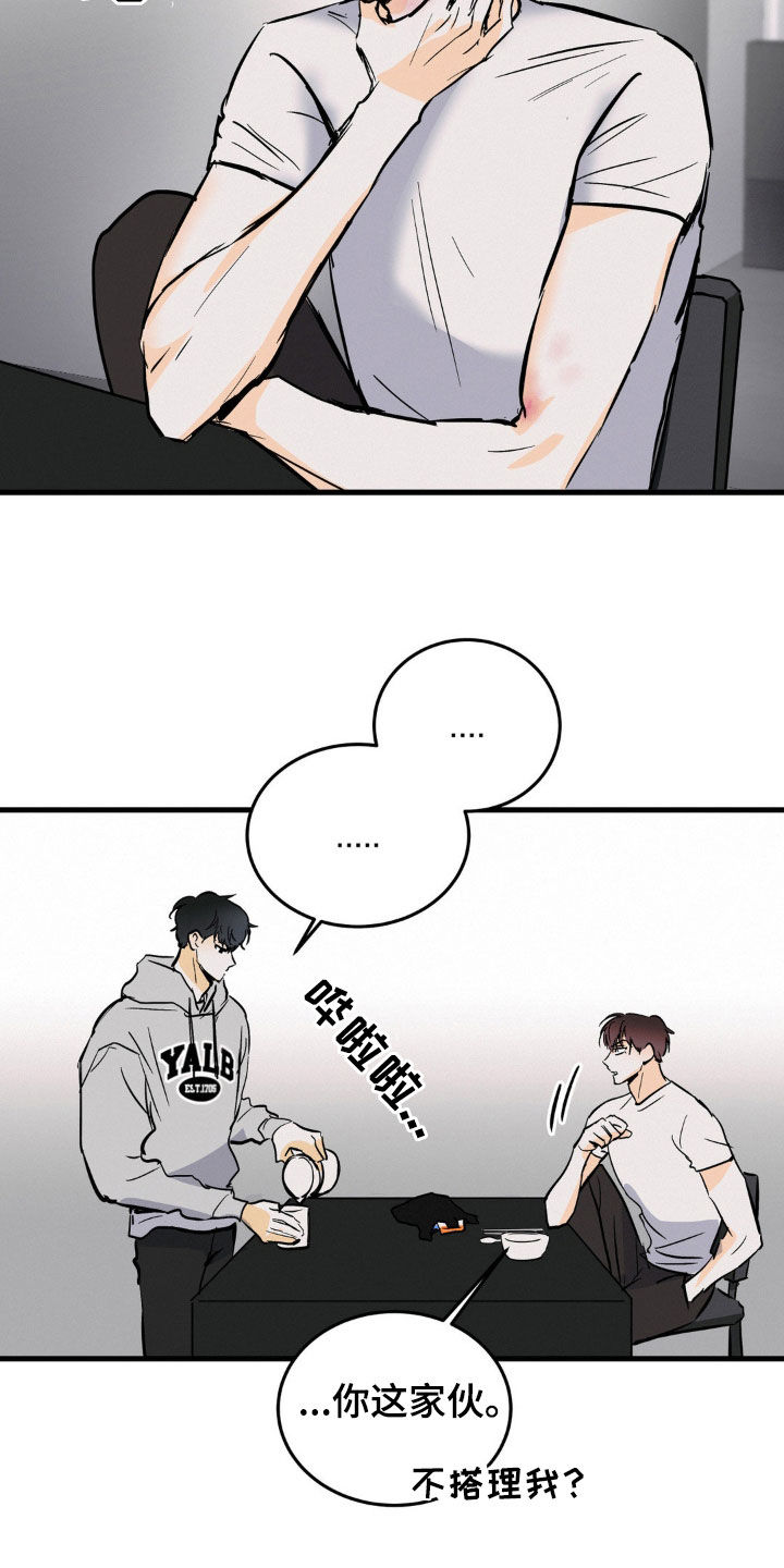 第30章：以后再说12