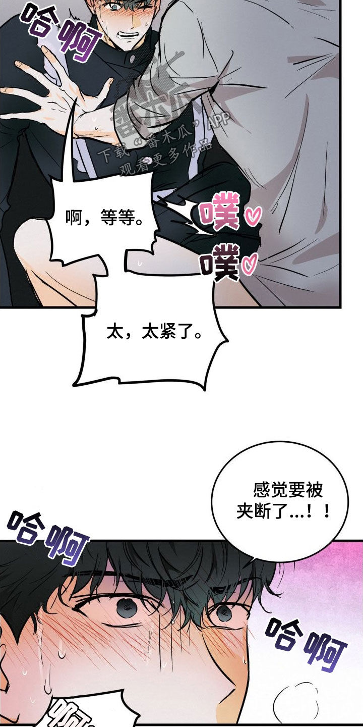 第20章：挺合适6