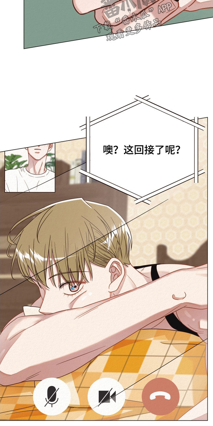 第38章：视频6