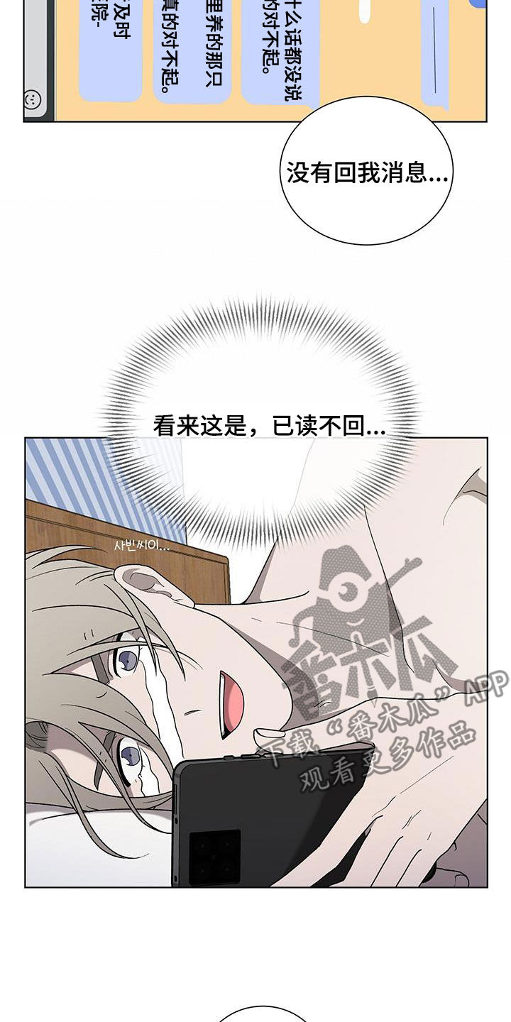第29章：已读不回14
