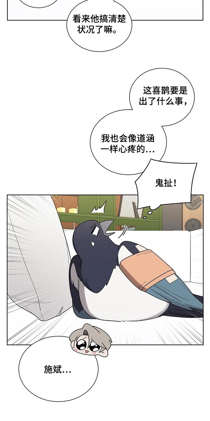 第37章：药袋17