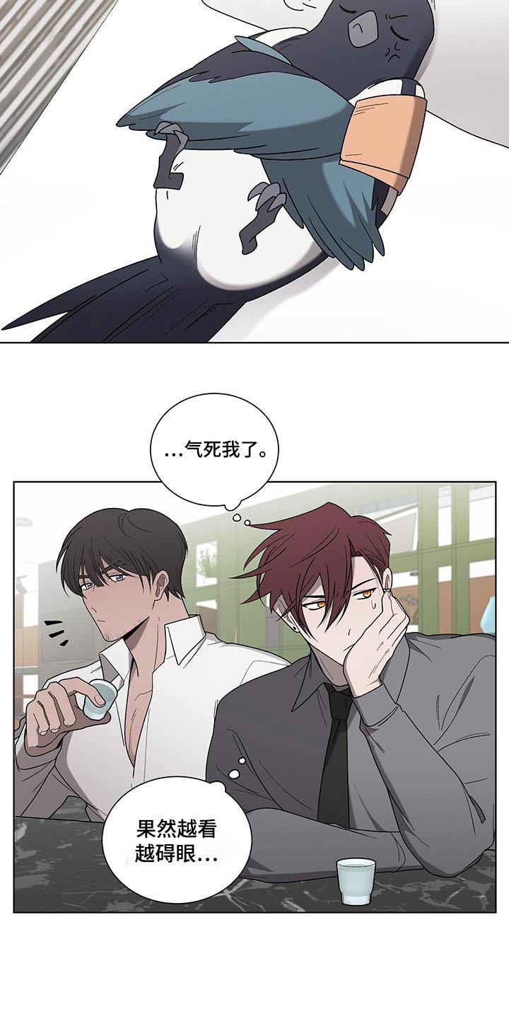 第37章：药袋5