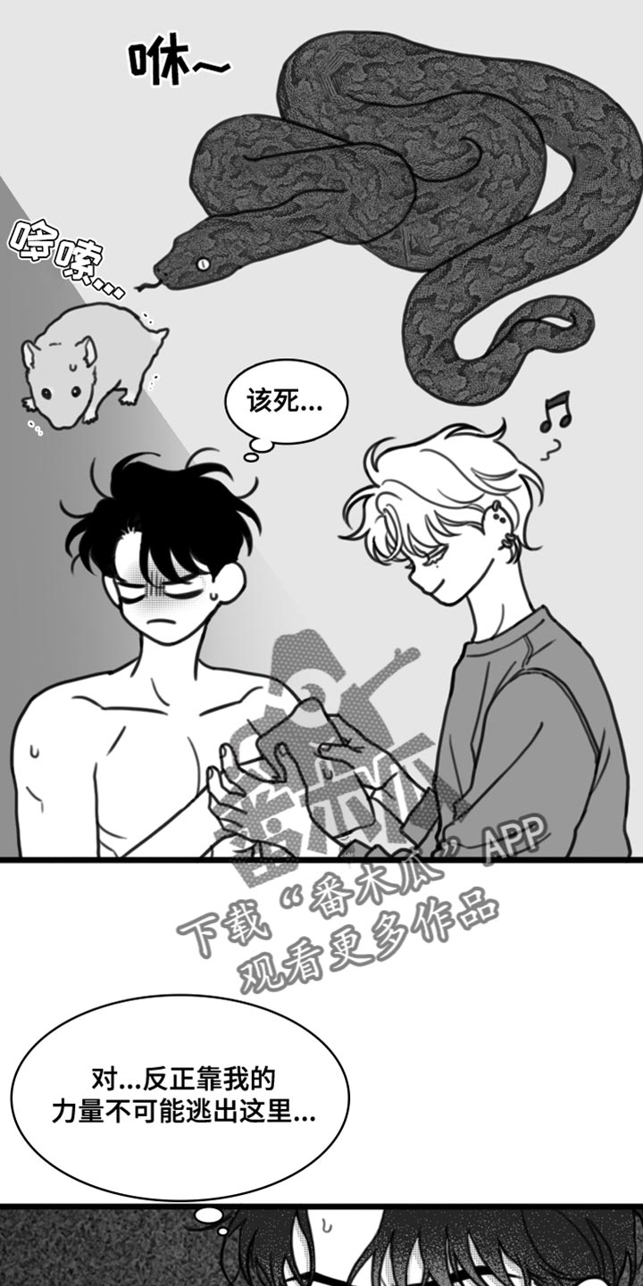 第30章：你真可爱12