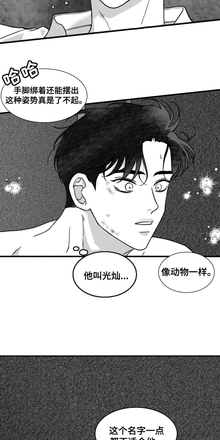 第29章：不适合他22