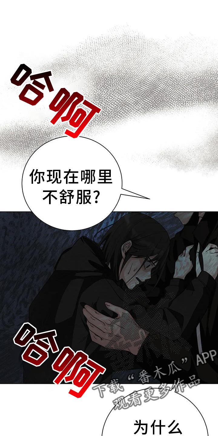第37章：温暖17