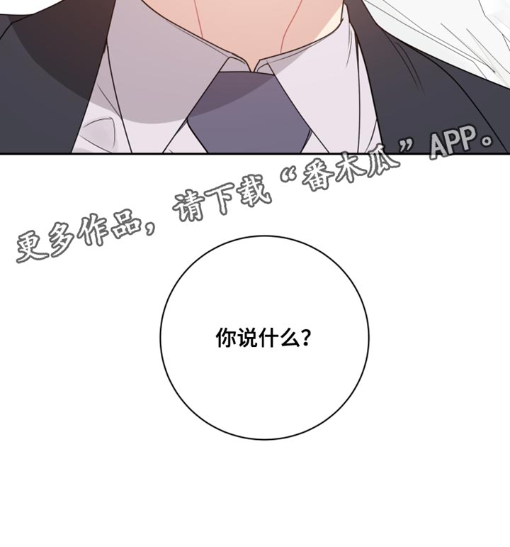 第30章：相互抵消31