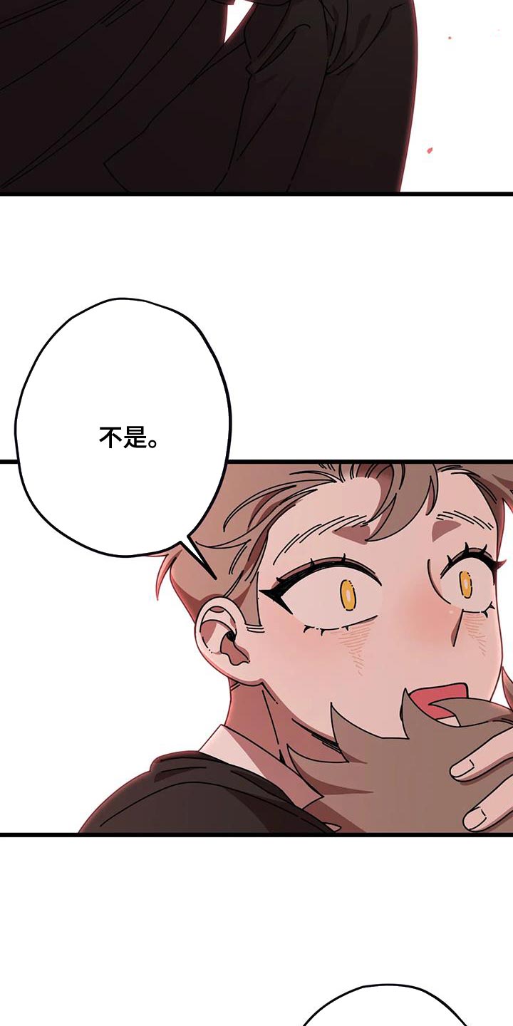 第32章：不会再错过任何人10