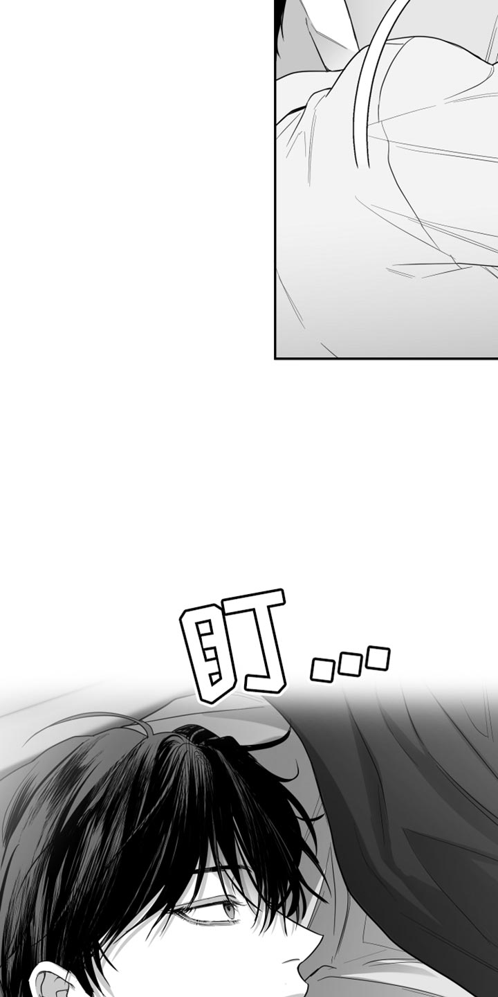 第38章：不能被发现19