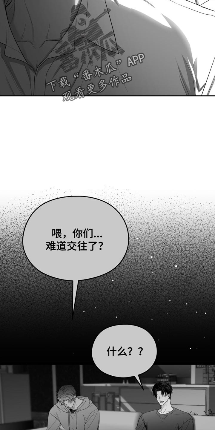 第35章：照片16