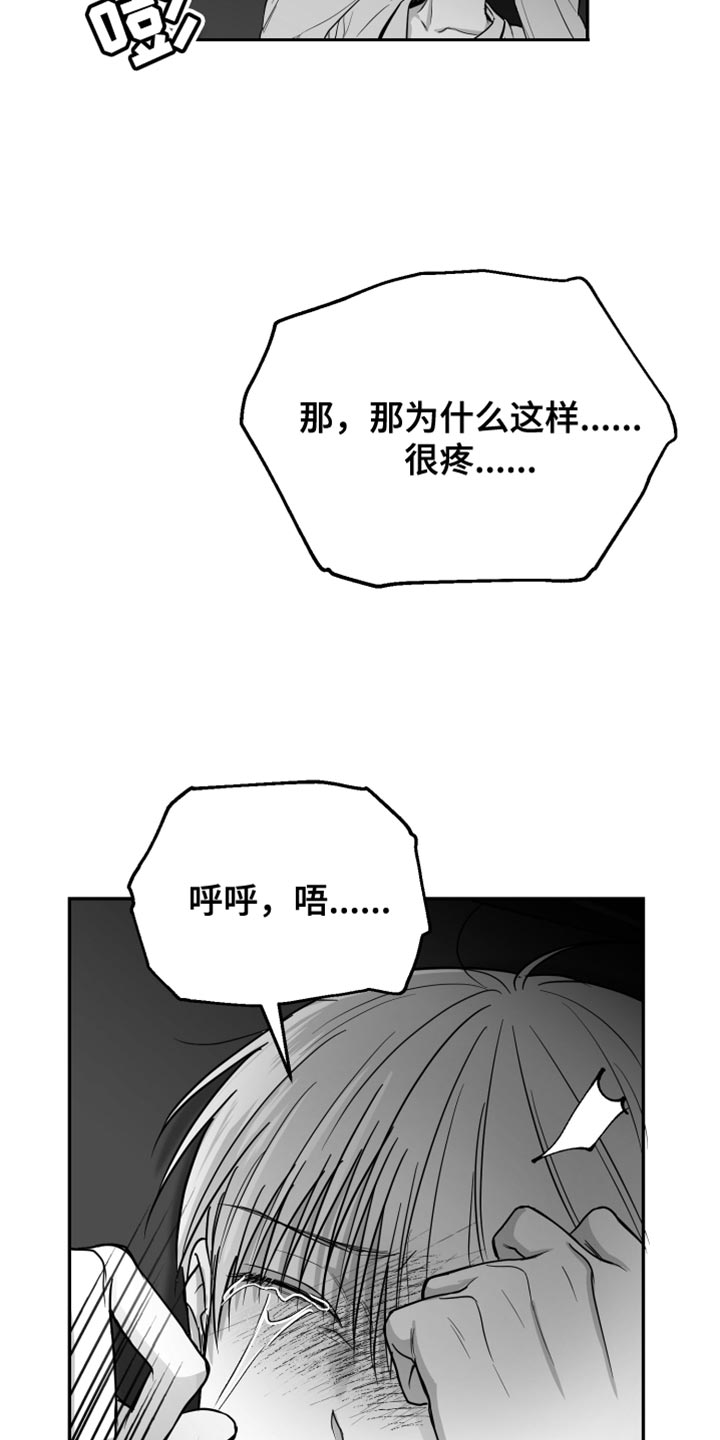 第29章：你喜欢我吧？17