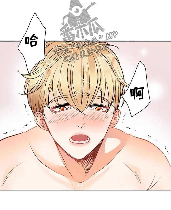 第43章：不可抗力4