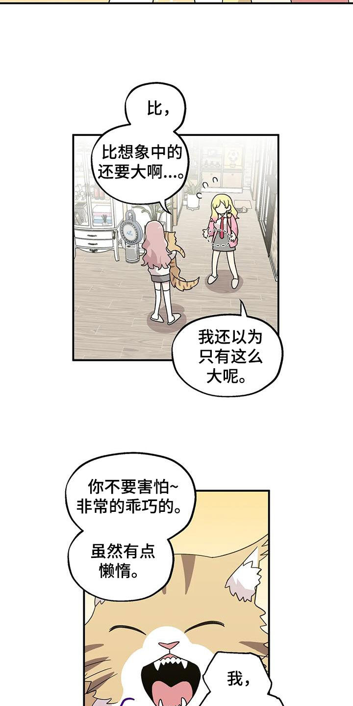 第49章：还是老样子7