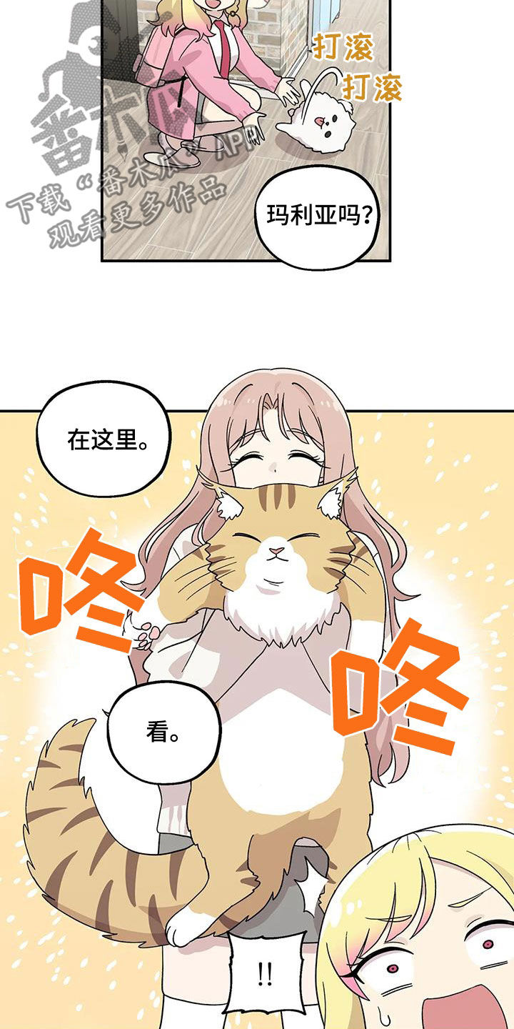 第49章：还是老样子6