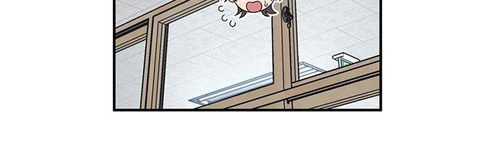 第46章：分数11