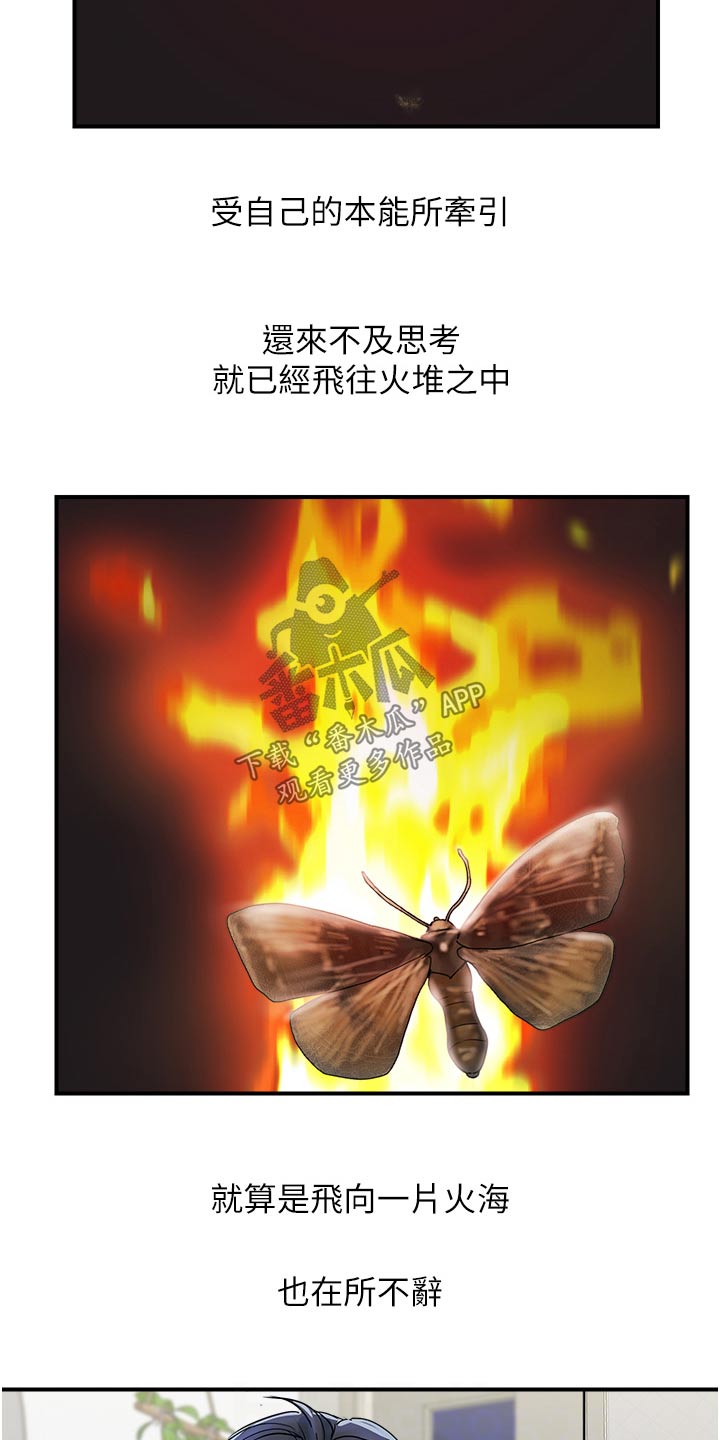 第25章：飞蛾扑火12