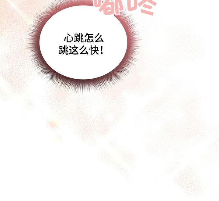 第47章：劫匪37