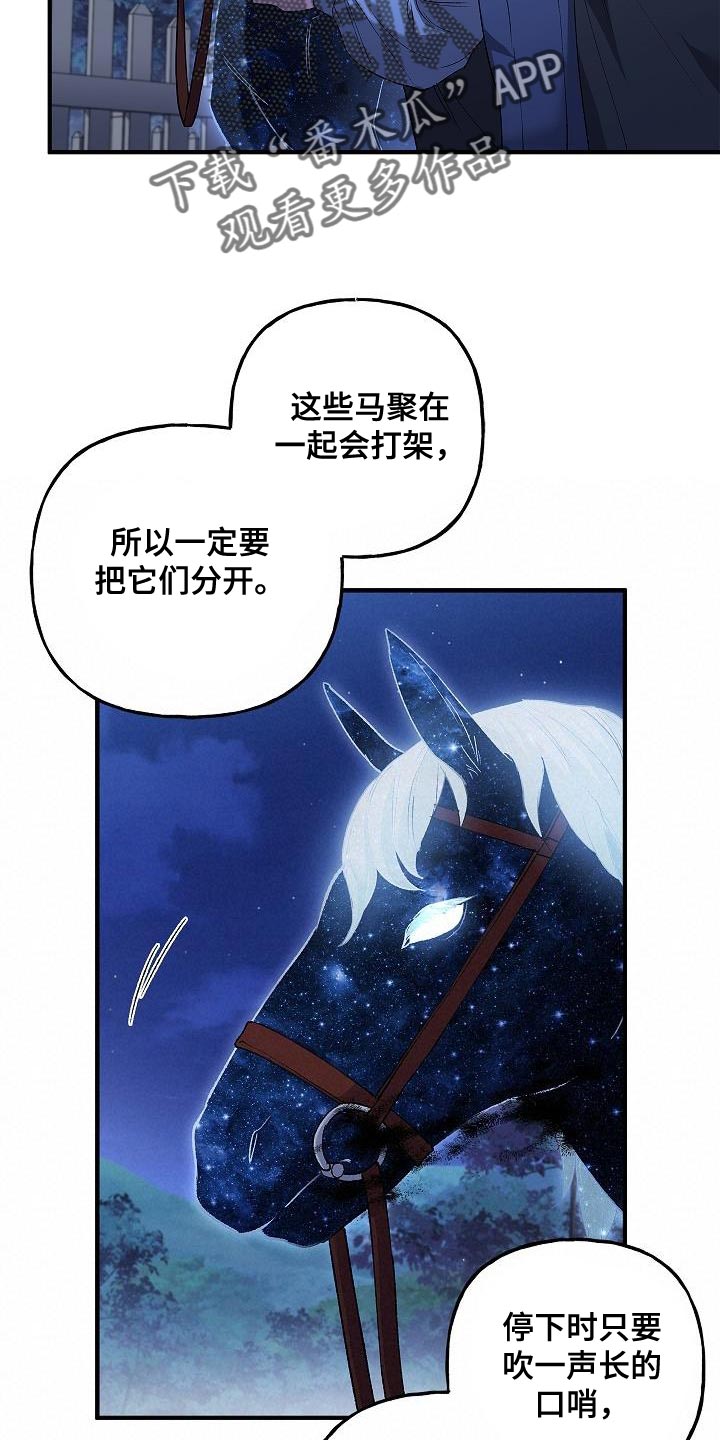 第37章：相同的问题13