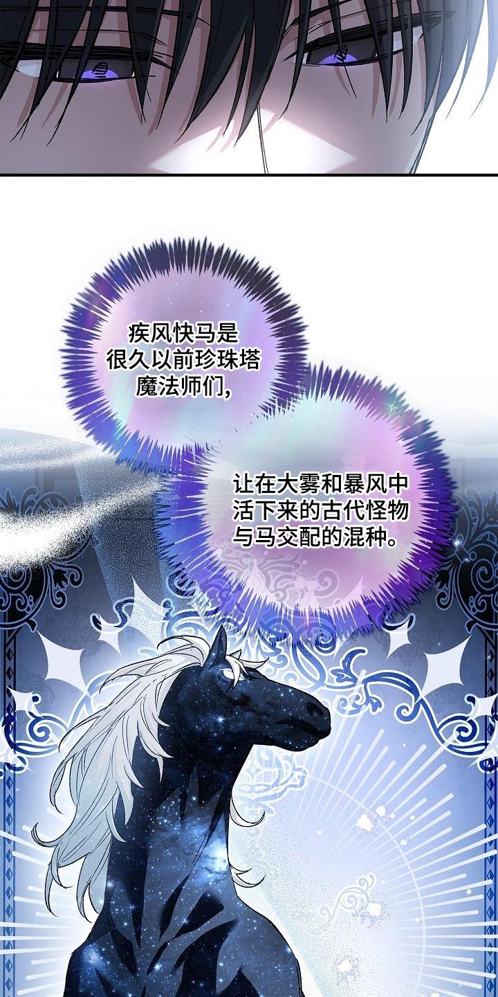 第37章：相同的问题7