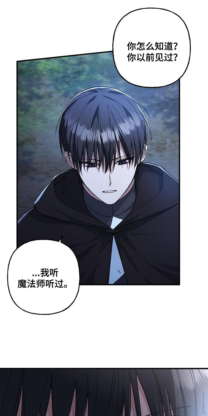第37章：相同的问题6