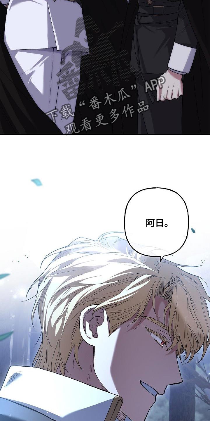 第38章：表白28