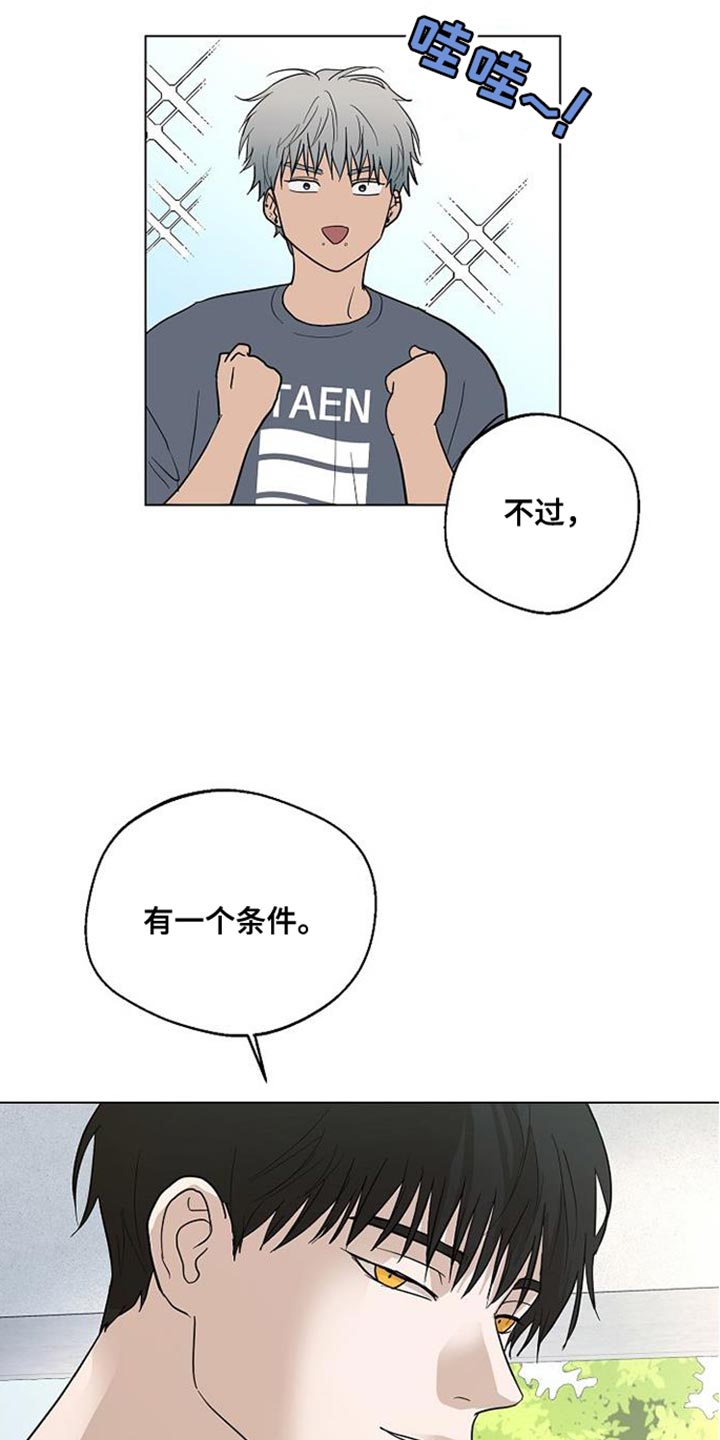 第15章：有一个条件16