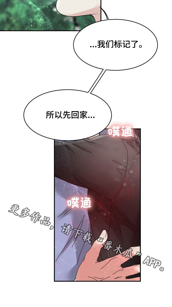 第31章：先回家21