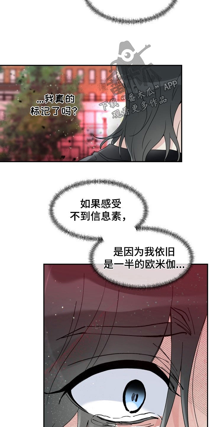 第31章：先回家15