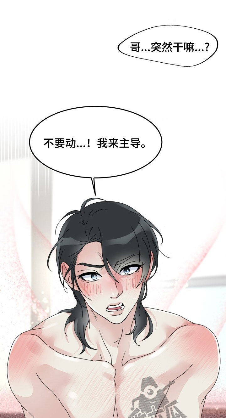 第32章：主导11